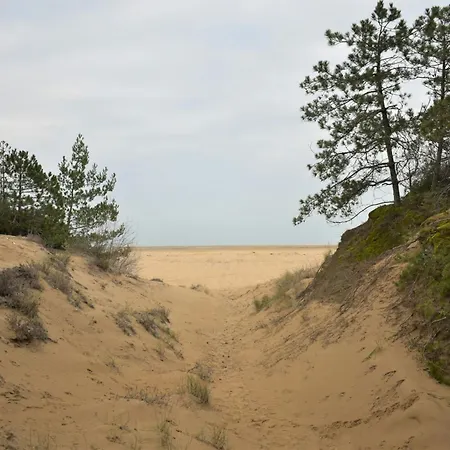 Seaside Escape For Perfect Vacations * Линьяно-Саббьядоро